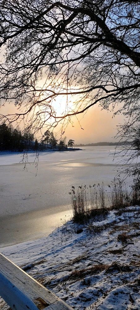 Seurasaari, open-air museum.