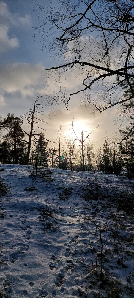 Seurasaari, open-air museum.