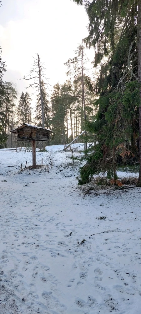 Seurasaari, open-air museum.