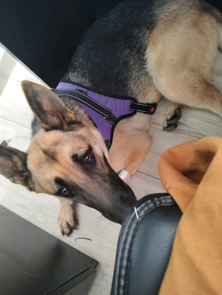 GIF ngarkuar nga Marithere