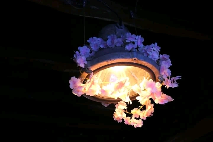 Image ajoutée par Zaza