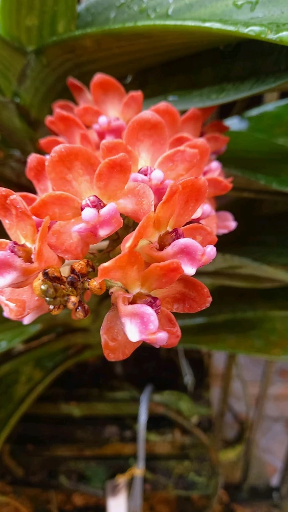 Image uploaded by Kristin