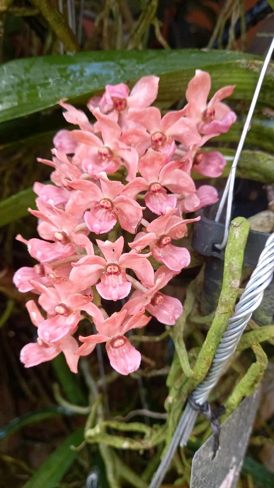 Image uploaded by Kristin