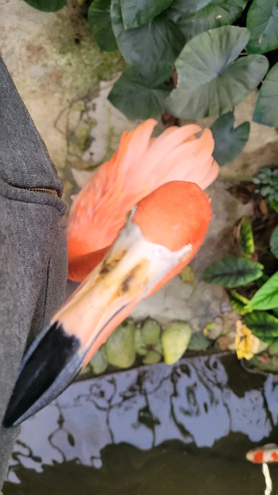 GIF diunggah dening Teb / Trav