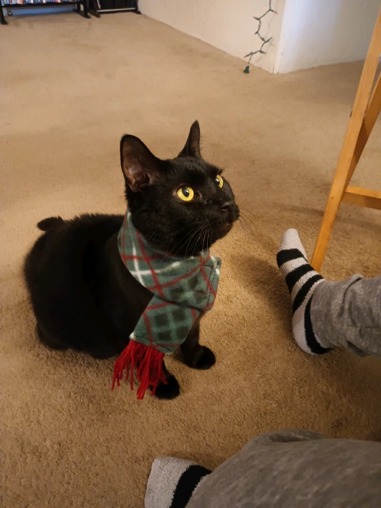 Image uploaded by Christy