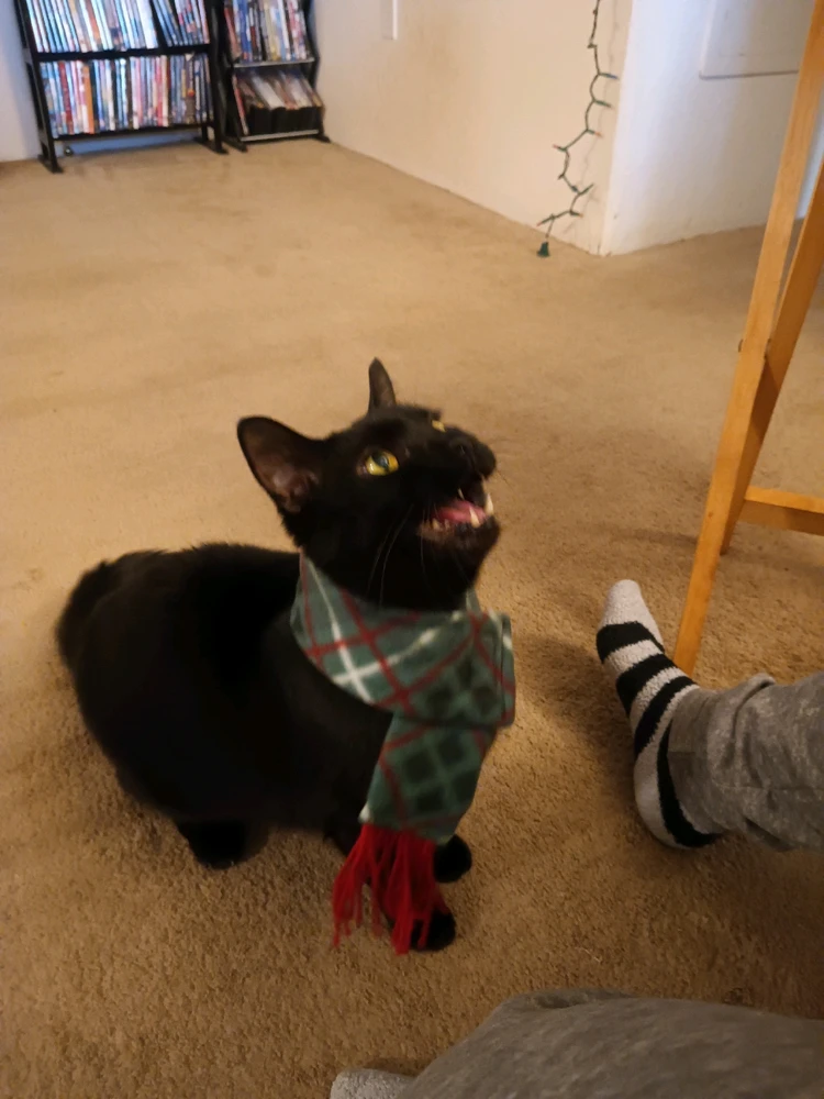 Image uploaded by Christy