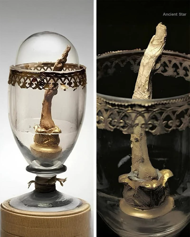 GIF uploaded by Stevie