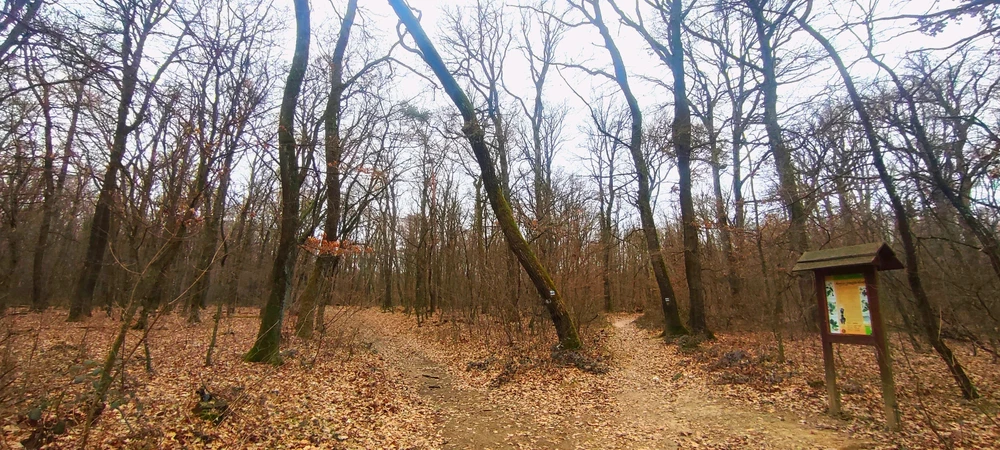 Isti által feltöltött GIF