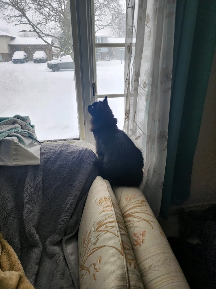 GIF uploaded by Hannah