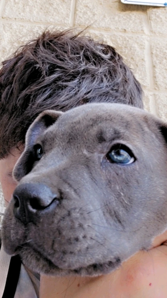 Image uploaded by Digg