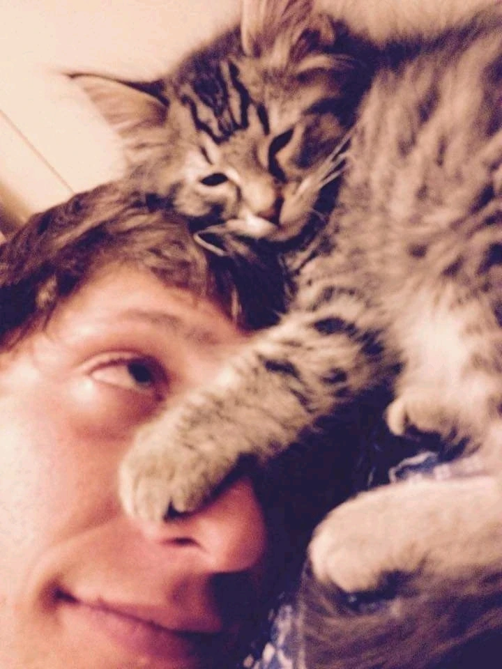 Image uploaded by Digg