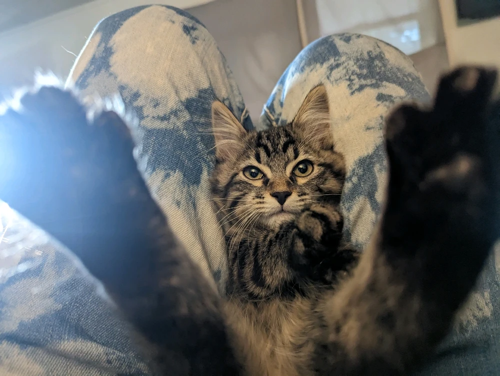 Image uploaded by Digg