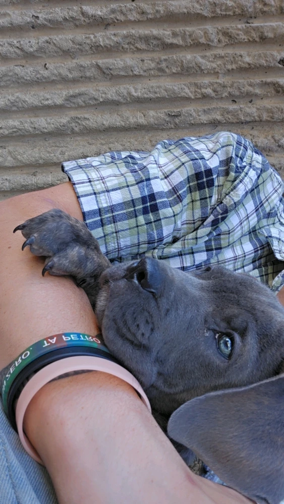 Image uploaded by Digg