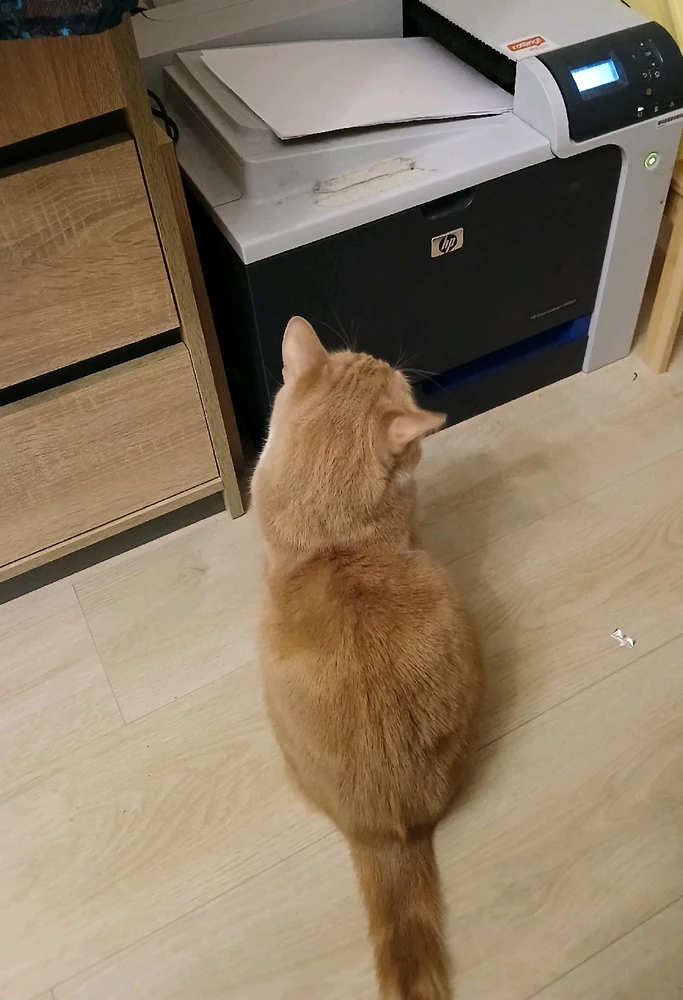 GIF uploaded by Linda