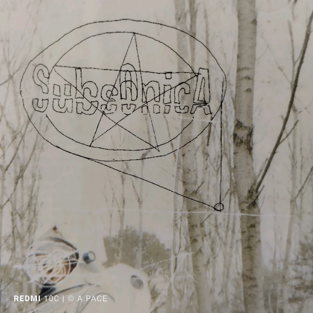 Immagine caricata da Alessandro | alpacigno