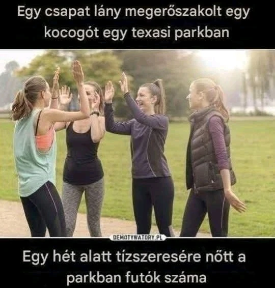 Tomi által feltöltött GIF