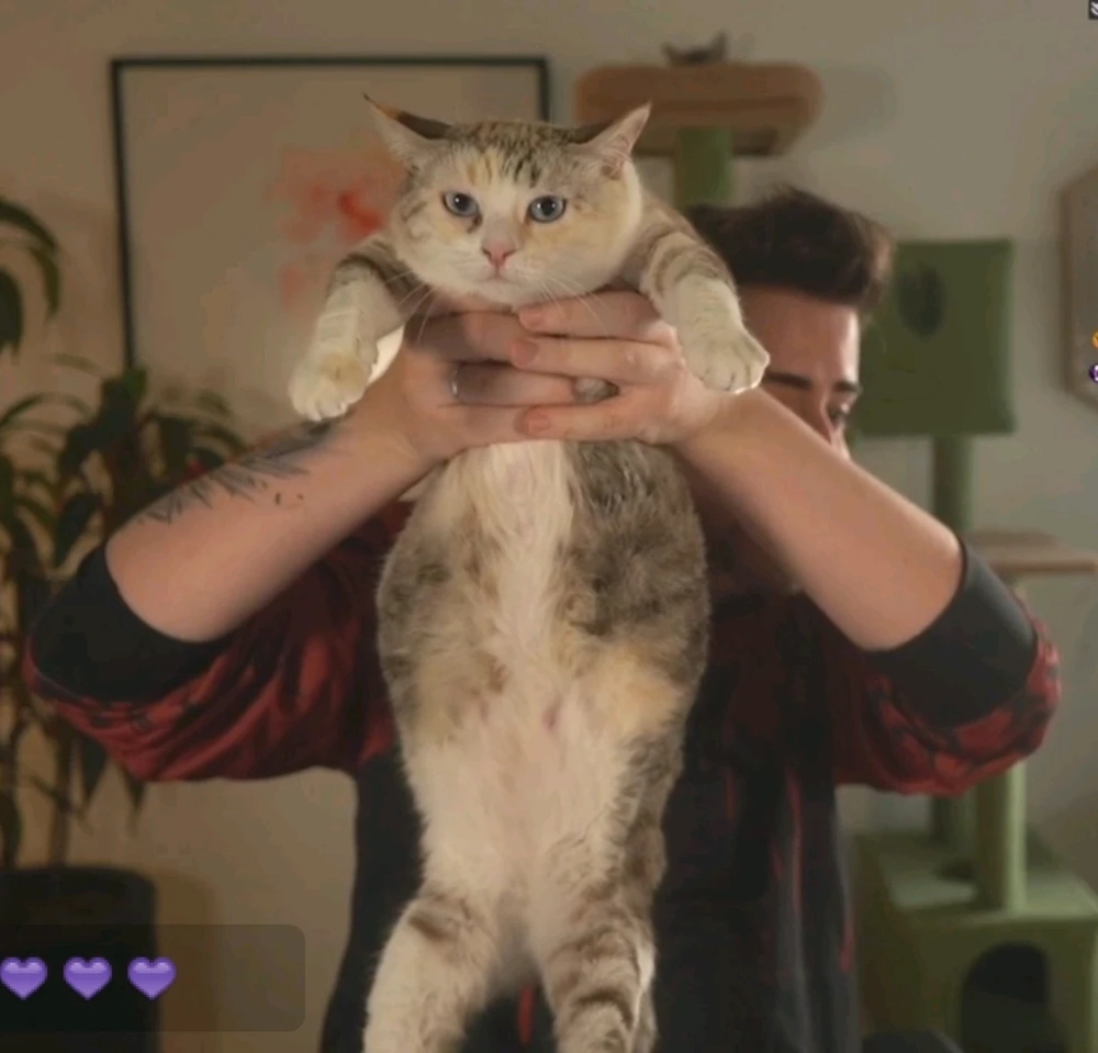 Imagem enviada por Mariana