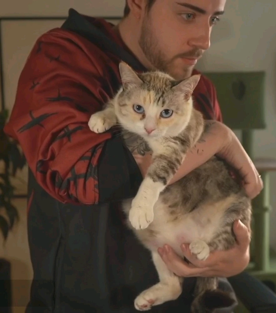 Imagem enviada por Mariana