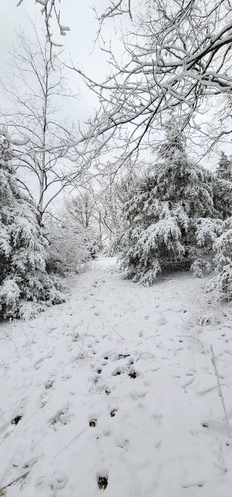 Image uploaded by Kodi