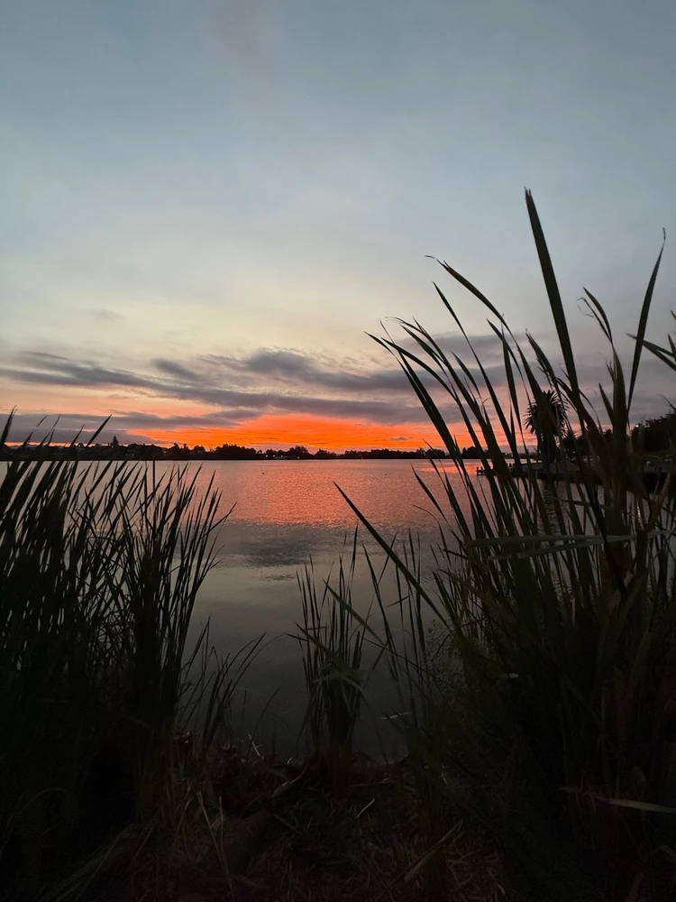 GIF uploaded by Lettie