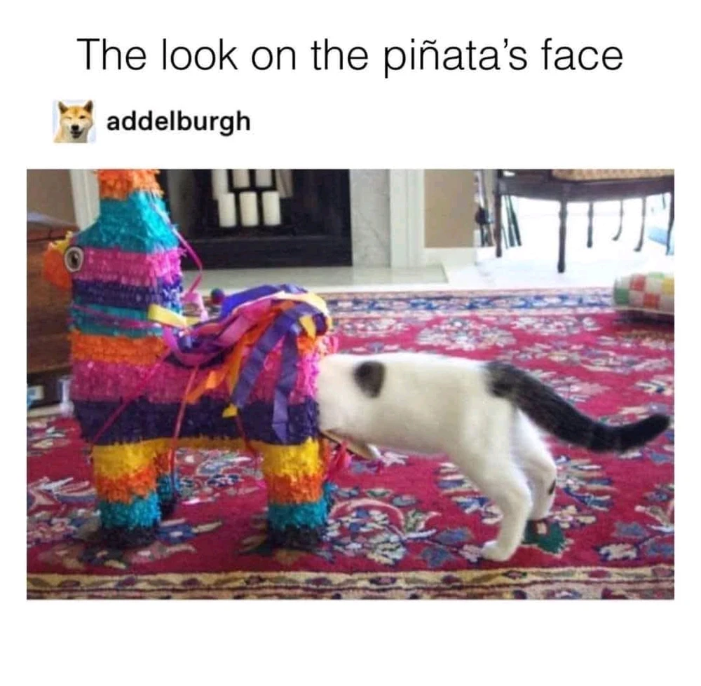 GIF hochgeladen von Christin