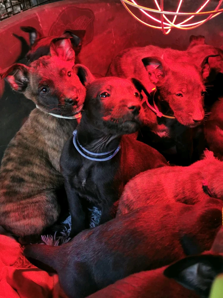 Bild hochgeladen von Daniel/ Dän