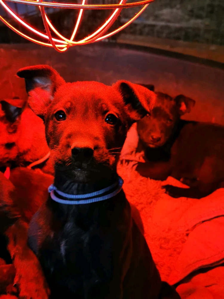 Bild hochgeladen von Daniel/ Dän