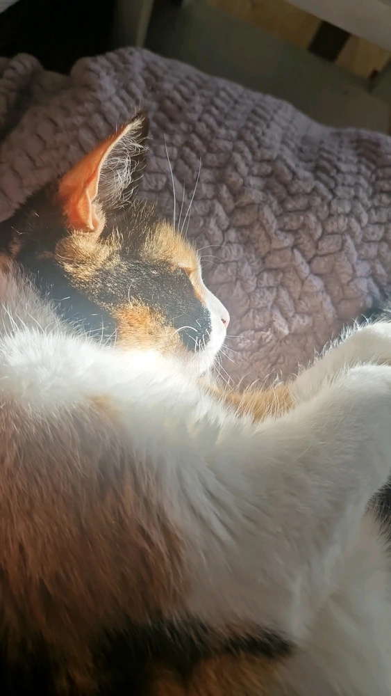 Image uploaded by BunBun