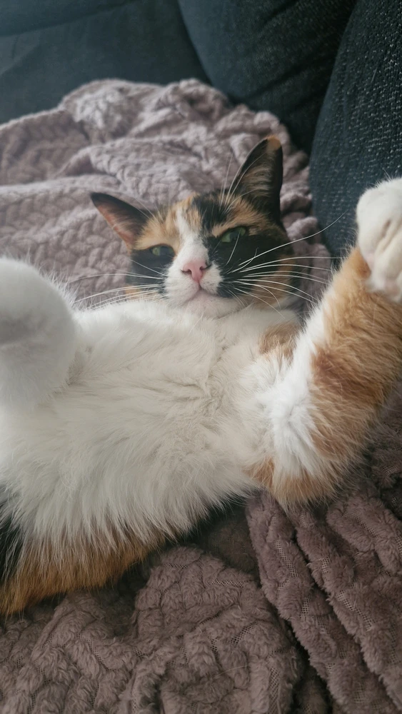 Image uploaded by BunBun