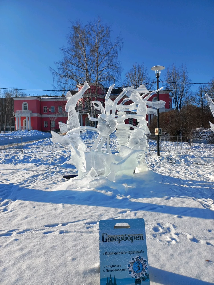 Image uploaded by Maria (Masha)