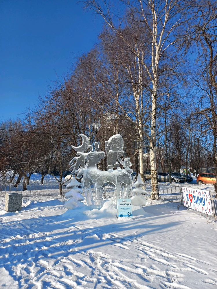 Image uploaded by Maria (Masha)