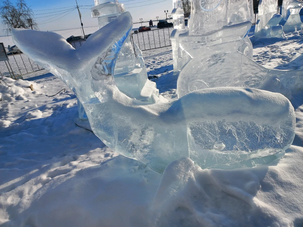 Image uploaded by Maria (Masha)