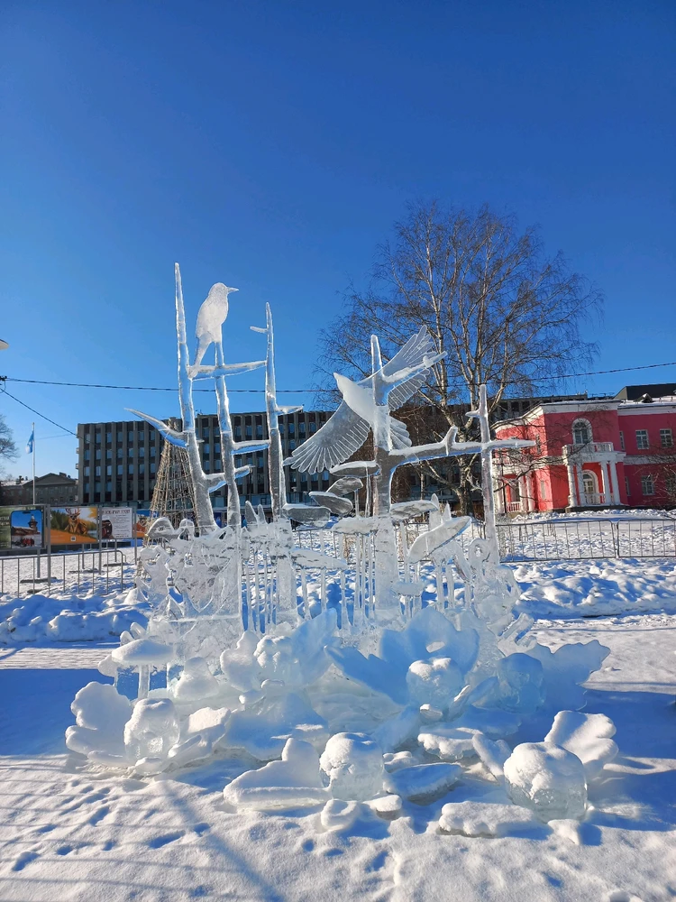 Image uploaded by Maria (Masha)