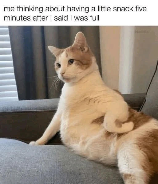 GIF uploaded by Shiri 쉬린 💜