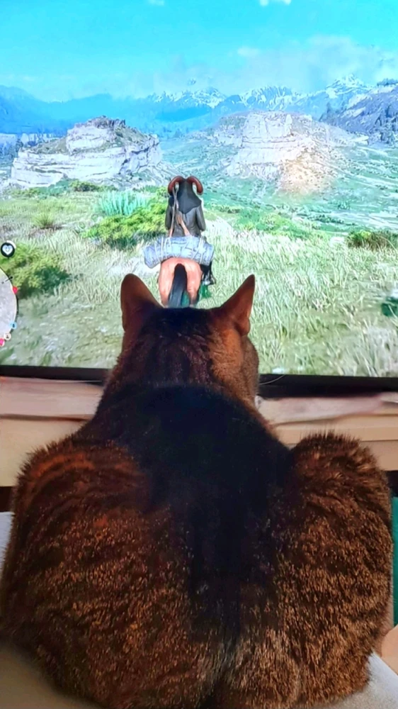 GIF hochgeladen von Doris