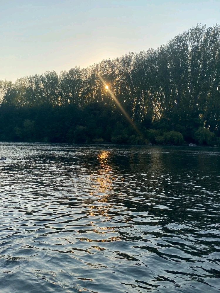 GIF pujat per Daniel