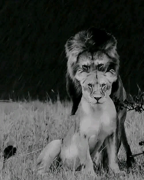 GIF uploaded by Elaine