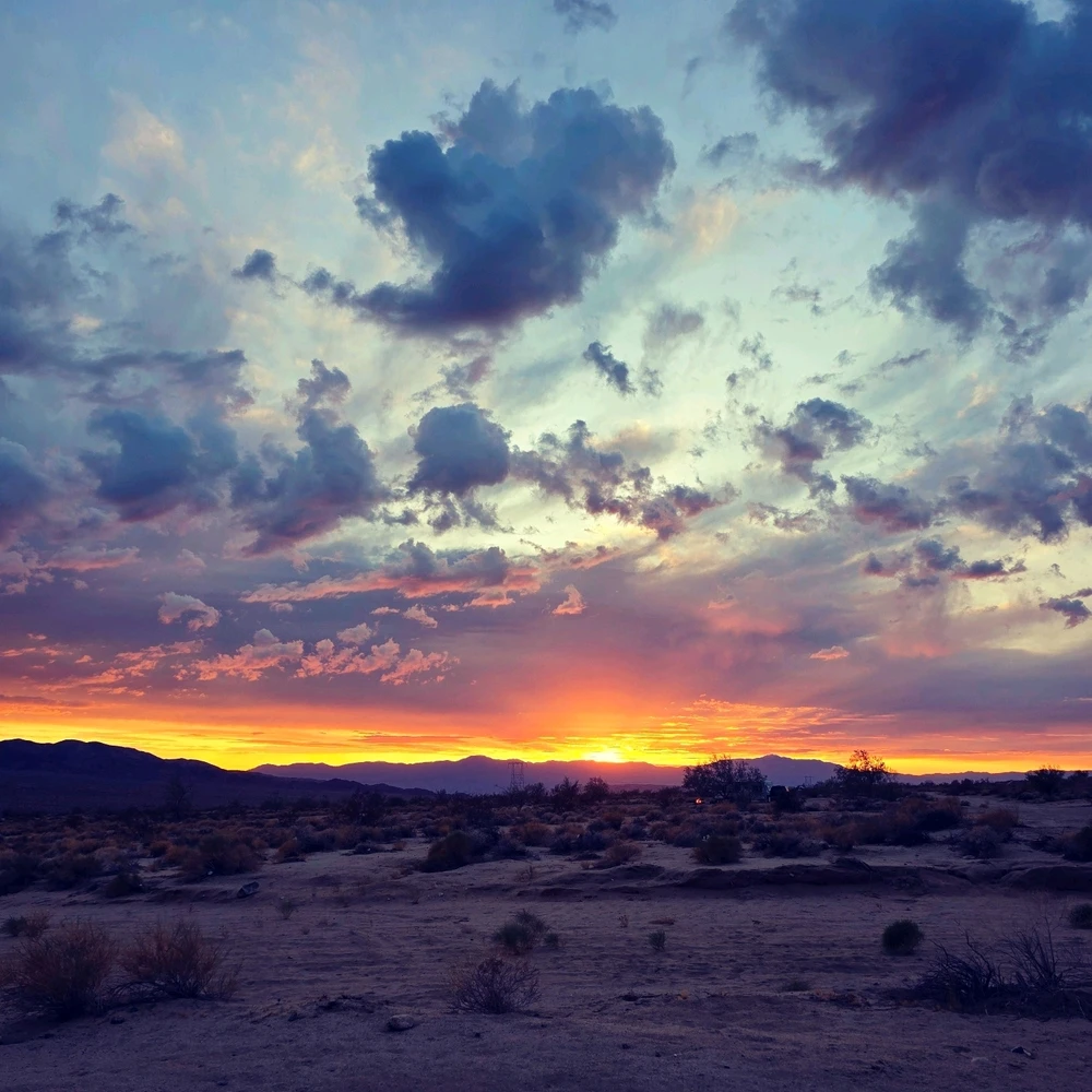 GIF uploaded by Chase