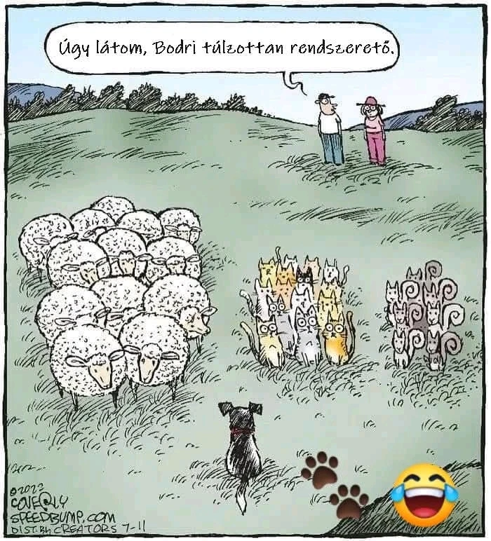 vanazúgy által feltöltött GIF