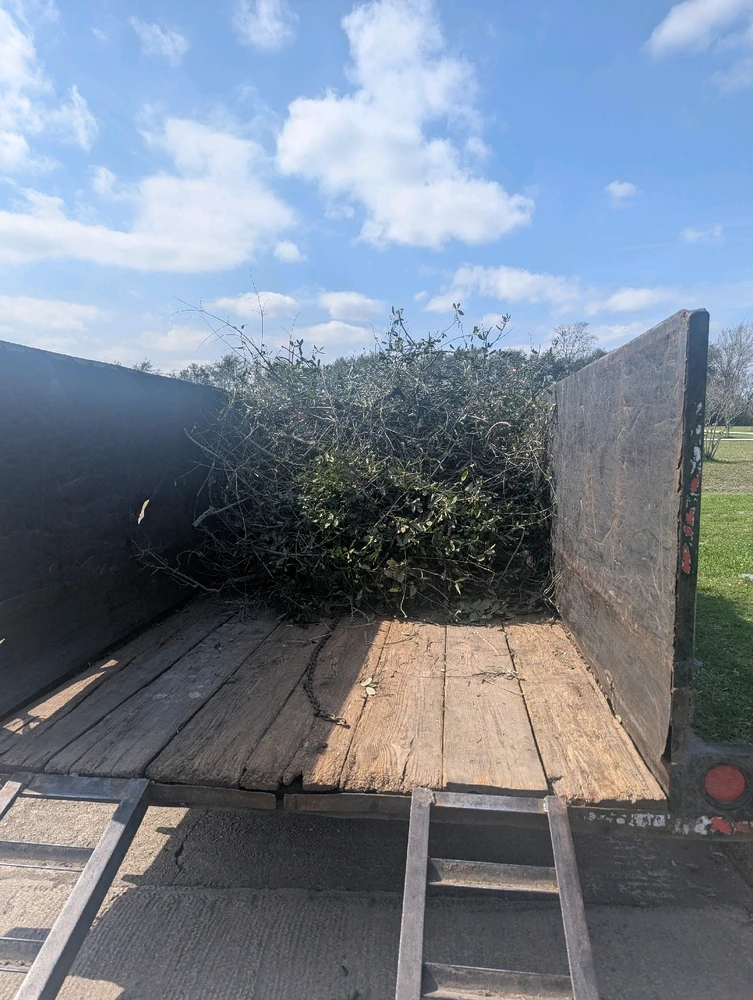 Image uploaded by Lalo