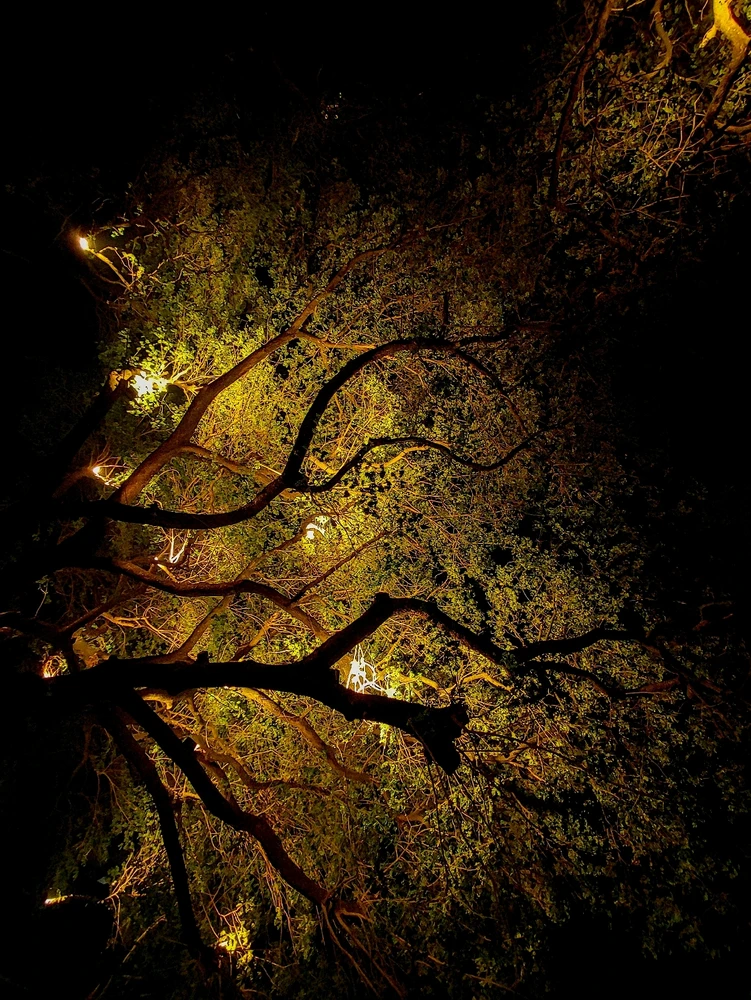 GIF uploaded by Avishek Biswas