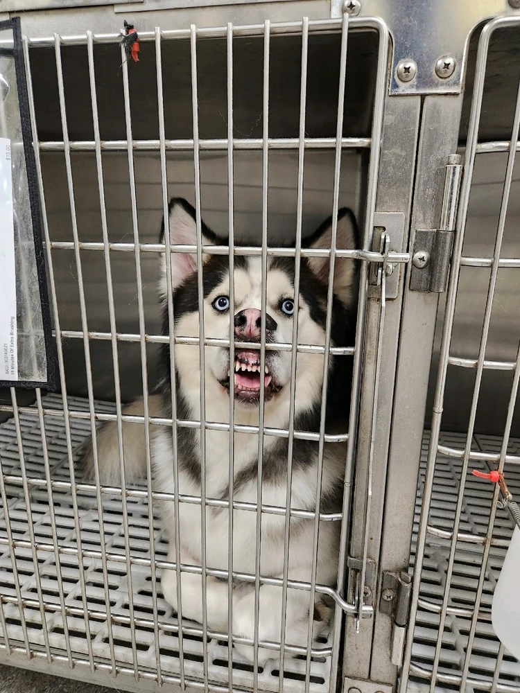 GIF uploaded by Aeon