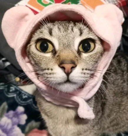 GIF diunggah dening Laura