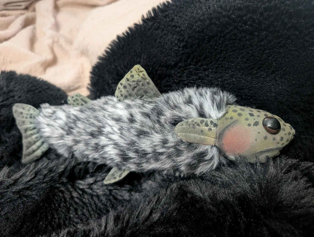 GIF uploaded by Kathryn