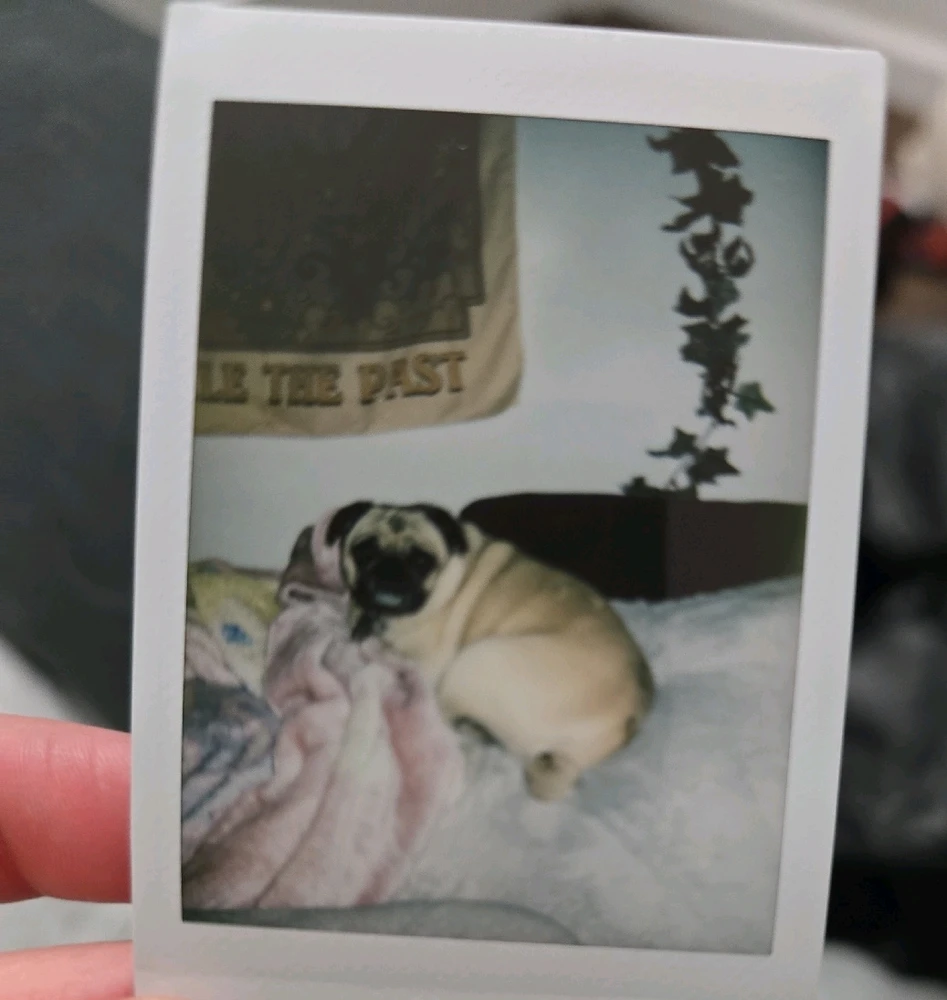 Image uploaded by Rose