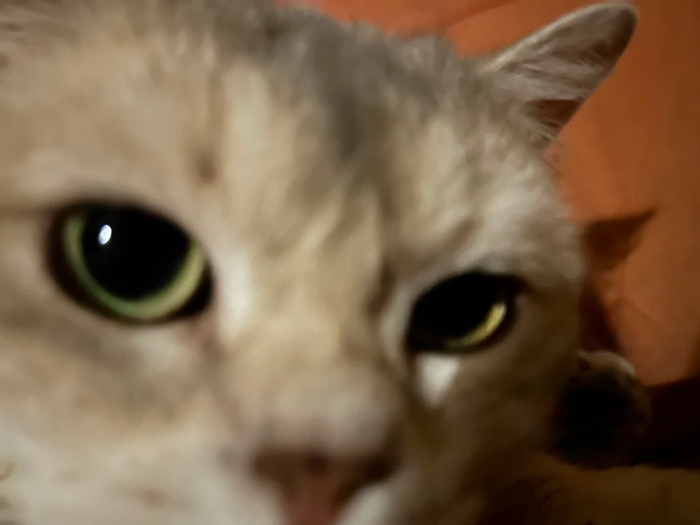 GIF hochgeladen von James