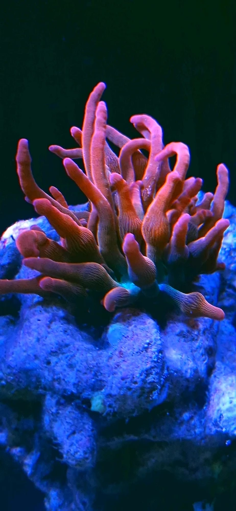 Bild hochgeladen von Stefan