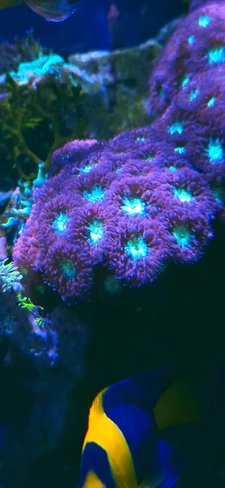 Bild hochgeladen von Stefan