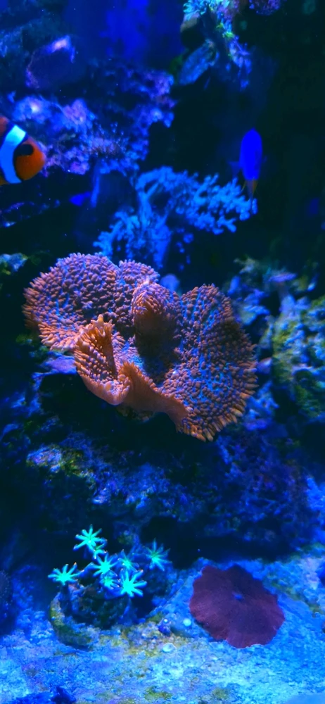 Bild hochgeladen von Stefan