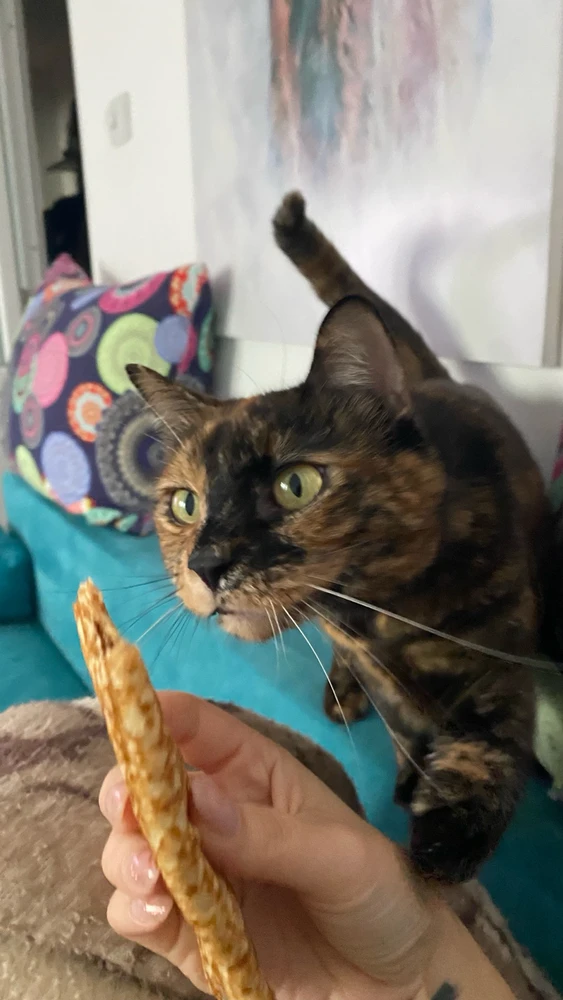 GIF încărcat de Laura